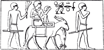 Реферат: Нефертити, странствие через пески вечности